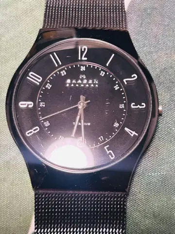 SKAGEN 티타늄 블랙 손목시계 233XLTMB