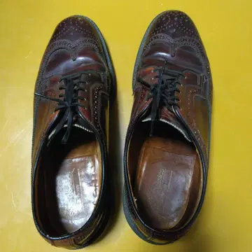 브라운 윙 칩 가죽 신발