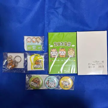 치이카와 해피백 2026 (갑진년)