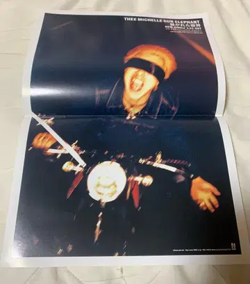 미셸 건 엘리펀트 폭로된 세계 플라이어