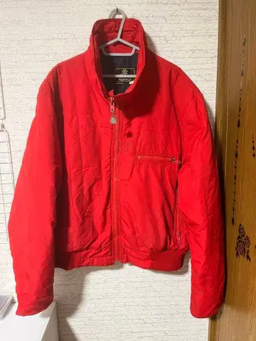 알파인 디자인 다운 자켓