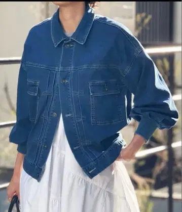 BEARDSLY 소매 퍼프 G 재킷