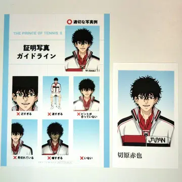 신 테니스의 왕자님 JF 점프페스타 선수 명감 특전 폴라샷 아카야