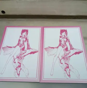 D.Gray-man 점프 페스타 암니버스 특전 포스카 리나리 2장