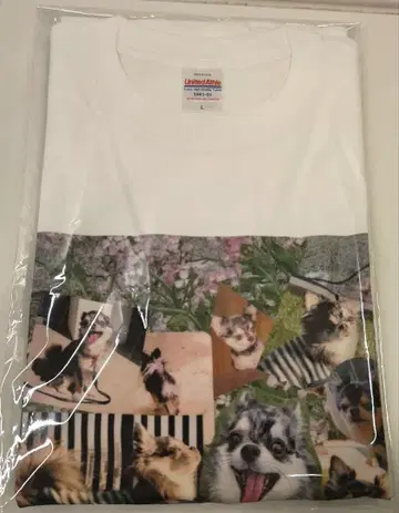 아이나 지 엔드 아이나지엔드 T셔츠 L사이즈 미개봉 새상품 BiSH