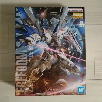 건담 프라모델 MG 1/100 프리덤 건담 Ver.2.0