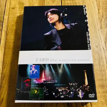 ZARD DVD What a beautiful moment 사카이 이즈미