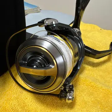 25 스텔라 SW 8000 HG