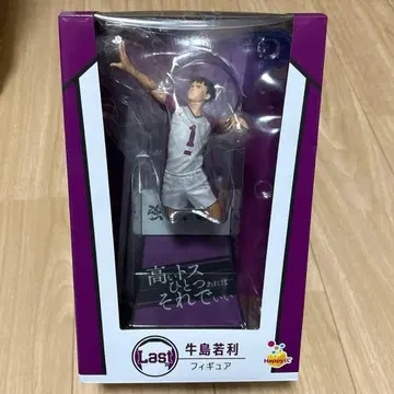 하이큐 우시지마 와카토시 피규어