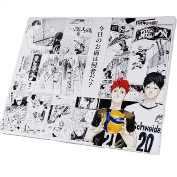 [하이큐] 풀컬러 BIG 아트 보드 도전하는 자들