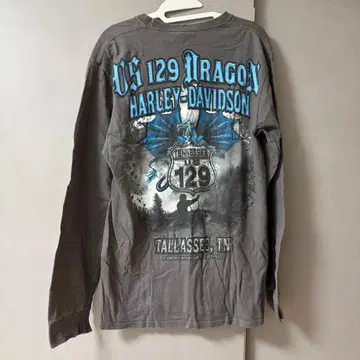 할리데이비슨 Harley-Davidson 롱티 그레이