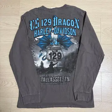 할리데이비슨 Harley-Davidson 롱티 그레이