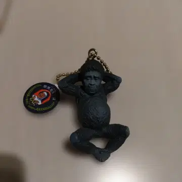 다운타운 하마다 코고릴라 가챠