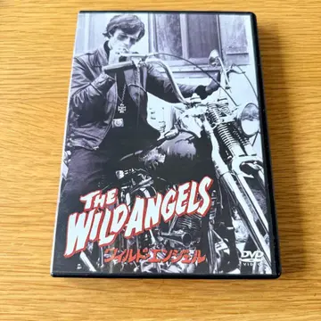 [셀판] DVD 와일드 엔젤
