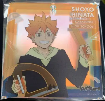 하이큐!! 히나타 쇼요 아크릴 키링 아크릴 브로치