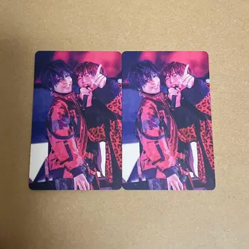 우라시마사카타센 여름 투어 2025 시마 아호노 사카타.