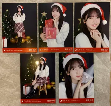 노기자카46 브로마이드 스가와라 사츠키 크리스마스 2025 5종 컴프