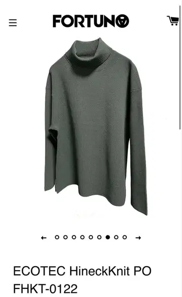 FORTUNAHOMME ECOTEC HineckKnit PO