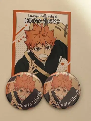 점프 페스타 하이큐!! 히나타 쇼요 브로마이드 1장 + 캔뱃지 2개 세트