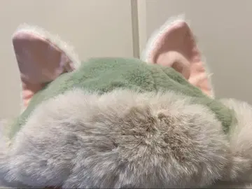 젤라토니 디즈니씨 팬캡 모자