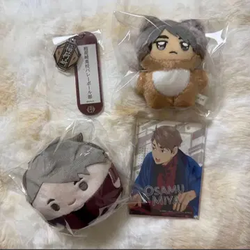 하이큐 미야 오사무 4점 세트