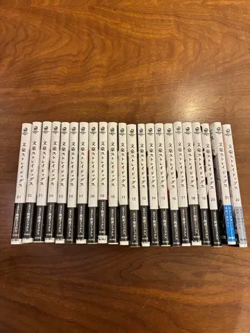 문호 스트레이독스 1-22권 세트 새상품급 오비 포함