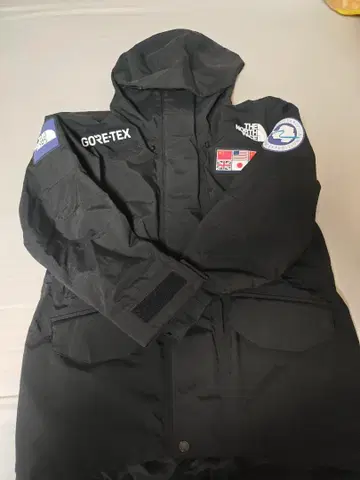 THE NORTH FACE 고어텍스 마운틴 후드티