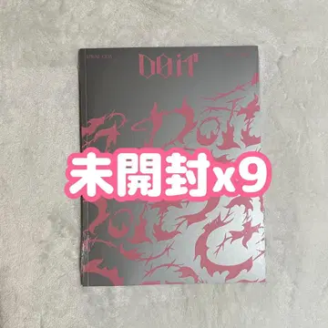 [ 미개봉 새상품 ] stray kids 스키즈 DO IT 9장 세트