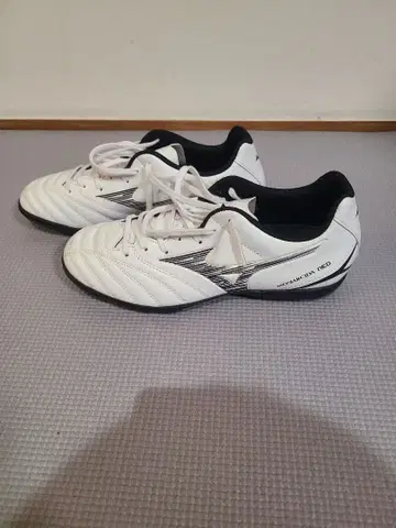 Puma evospeed 1.5 축구화