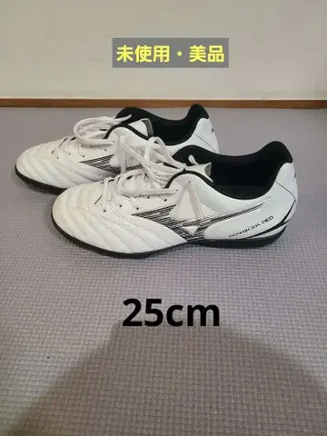 Puma evospeed 1.5 축구화