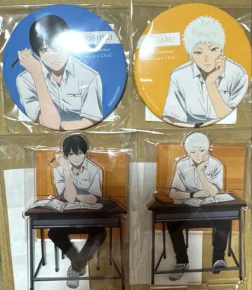 빛이 죽은 여름 아크릴 스탠드&캔뱃지