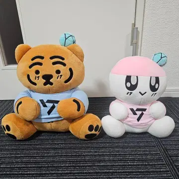 모자 꽁지 x MUZIKTIGER 세트 SEVENTEEN