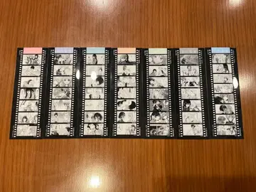 7장 세트 백합희전 구매 혜택 클리어 책갈피 컴플리트 세트