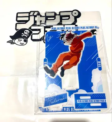 히로아카 나의 히어로 아카데미아 아크릴 스탠드 십걸 토도로키 쇼토 점페스