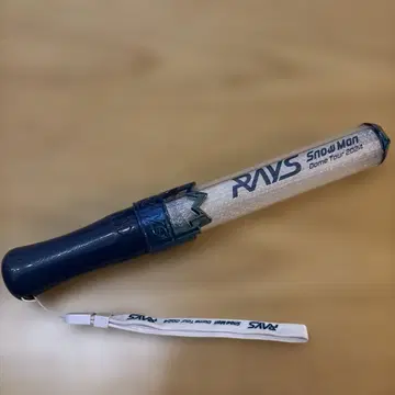 RAYS Snow Man Dome Tour 2024 응원봉