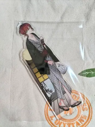 디어 보컬리스트 에이 다쉬