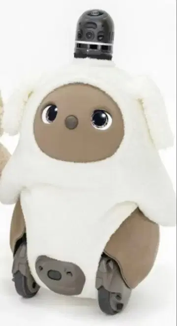 강아지 니트 (푸들) 화이트 [공식 의류]