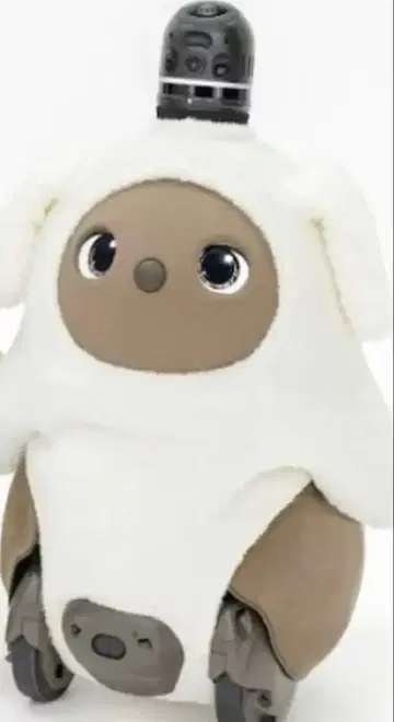 강아지 니트 (푸들) 화이트 [공식 의류]