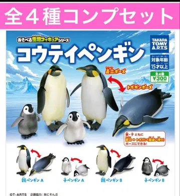황제펭귄 가챠 전 4종 컴프 세트