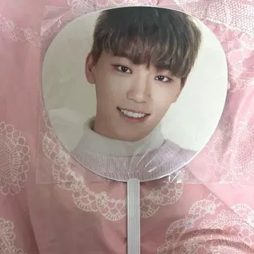 SEVENTEEN DINO 디노 부채