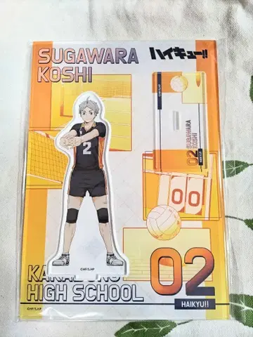 하이큐!! 스가와라 코시