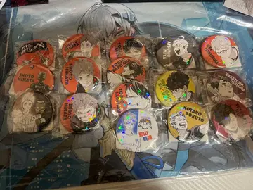 하이큐 올스타 캔뱃지