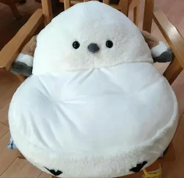 시마연가 앉아 쿠션