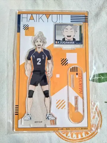 하이큐!! 스가와라 코시