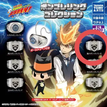 봉고레 반지 컬렉션 폭풍 1점