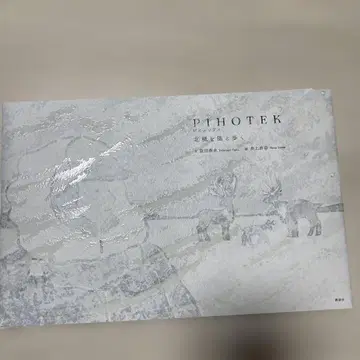 PIHOTEK 북극을 바람과 걷다