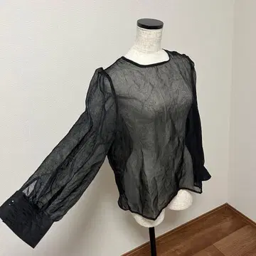 시스루 벌룬 소매 블라우스 블랙