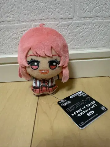 [ 새상품 ] 컬러풀피치 SD 인형 2025ver. vol.2 노아님