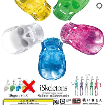 [컴프] 스켈레톤즈 인 스켈레톤 컬러 네이처 테크니컬러 가챠