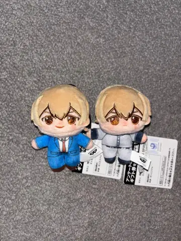 망각 배터리 호와누이 필요 2종류 세트